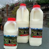 e3e54c_75c29371728e4787abcd8999225e54d0~mv2